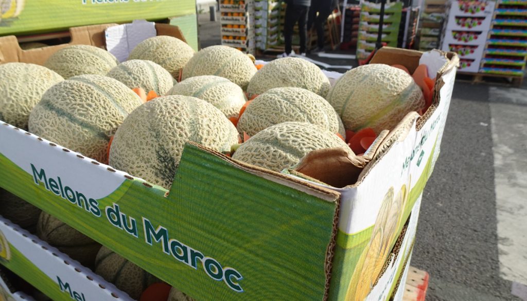 melon-marocain (1)