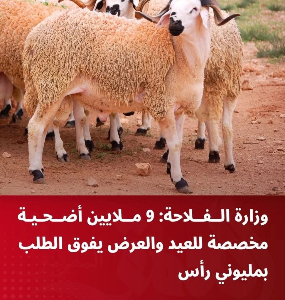 FB_IMG_1778781304720